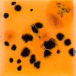Mayco Jungle Gem - CG-1013 - Papaya -  4 fluid oz.