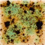Mayco Crystalite - S-2709 - Cappuccino Mint -  4 fluid oz.