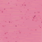 Mayco Speckled Stroke & Coat Wonderglaze for Bisque