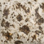Mayco Stoneware Glaze - SW-155 - Winter Wood - 1 pint