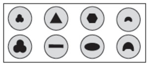 Scott Creek. 2" Shape and Coil Die Set