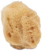 Silk Sponge